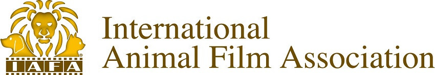 第1回国際どうぶつ映画祭 in 神戸